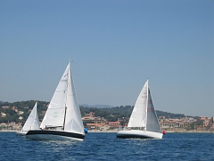 la solitaire 167